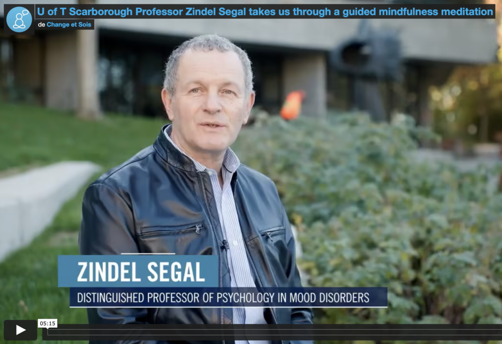 Professor Zindel Segal takes us through a guided mindfulness meditation 🧘🏽