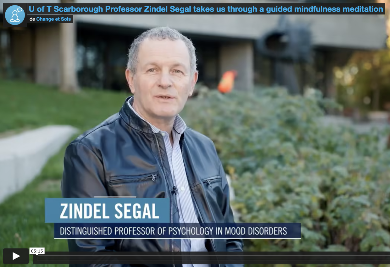 U of T Scarborough Professor Zindel Segal takes us through a guided mindfulness meditation