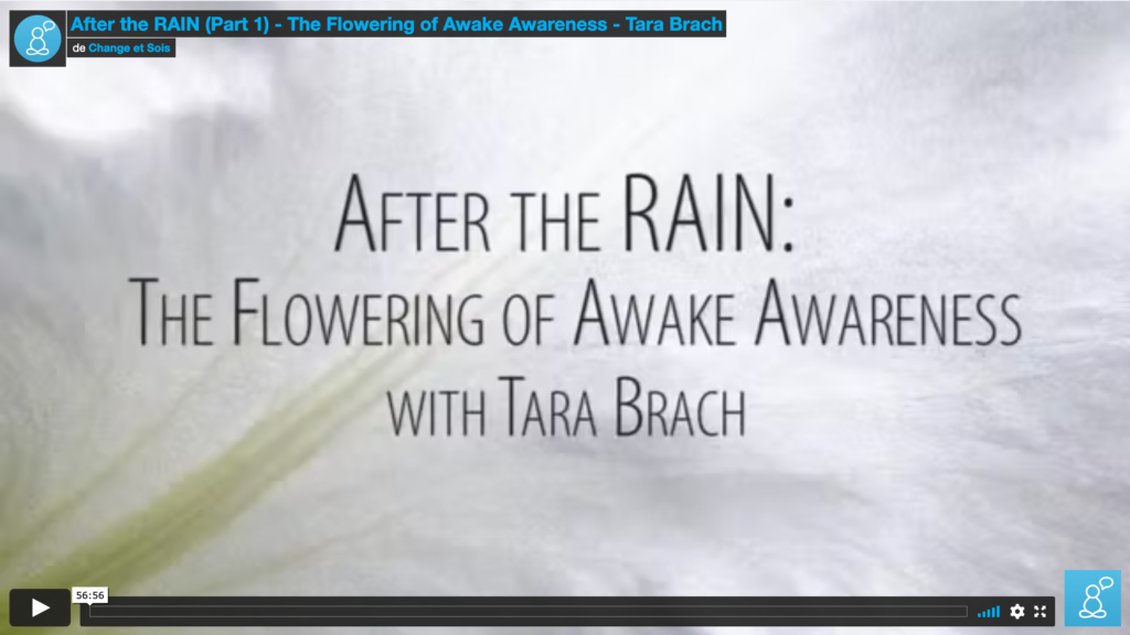 After the RAIN (Part 1) - The Flowering of Awake Awareness - Tara Brach