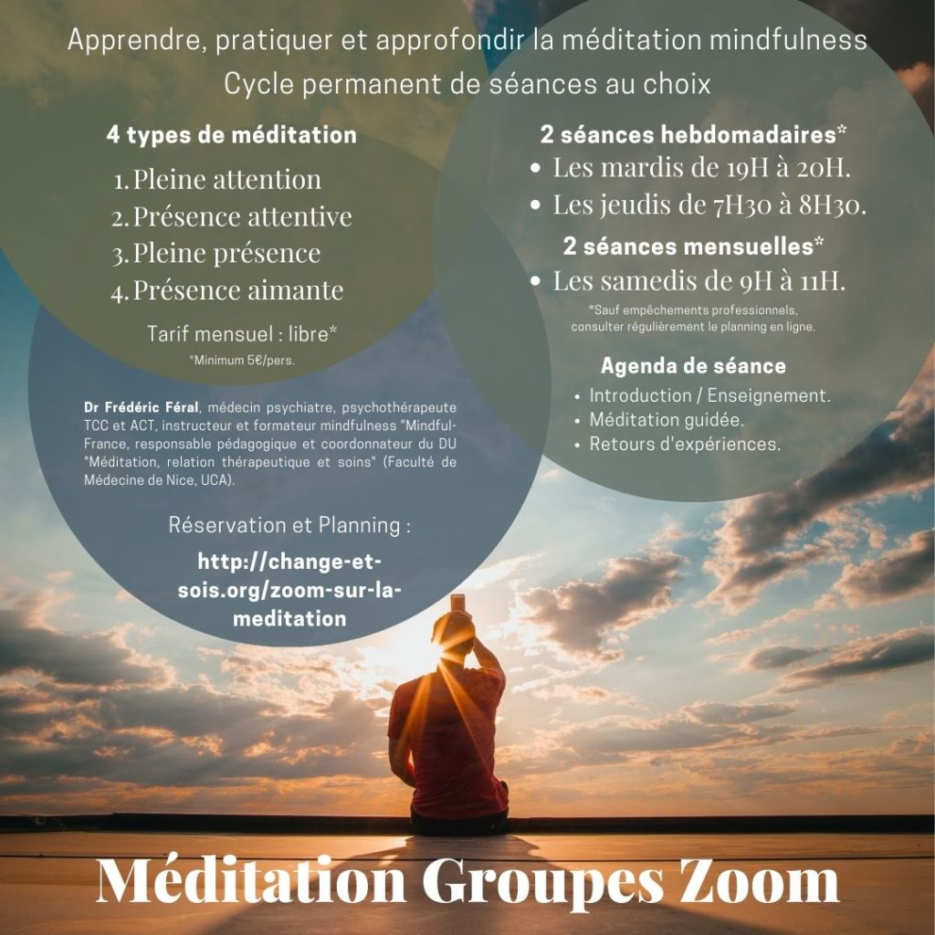 Zoom sur la méditation ©Dr Frédéric Féral