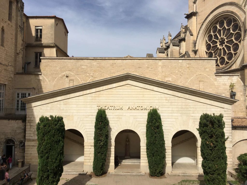 DU “Méditation et Santé” – Faculté de Médecine de Montpellier-Nîmes