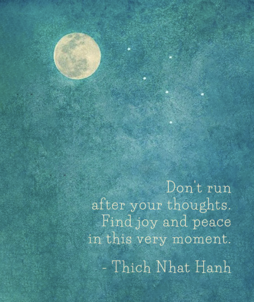 Don’t run after your thoughts – Thich Nhat Hanh