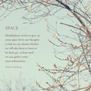 Space - Sharon Salzberg