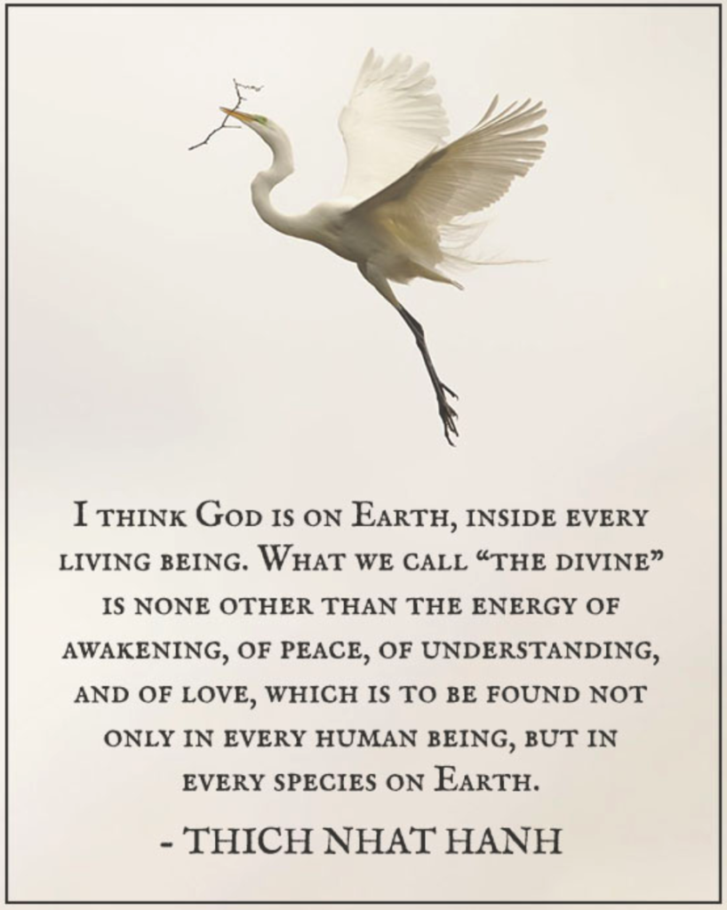 The Divine - Thich Nhat Hanh