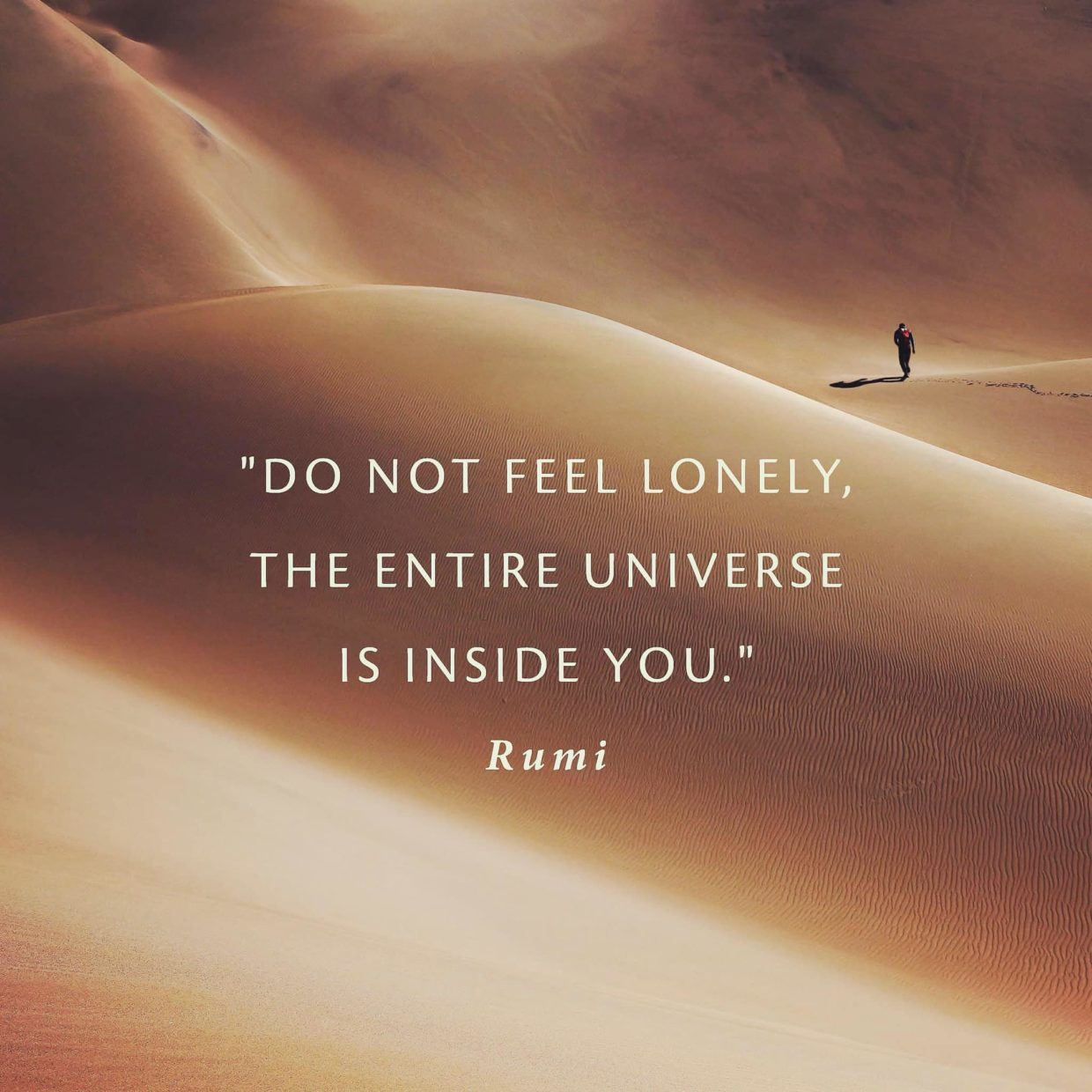 The entire universe is inside you - Rumi